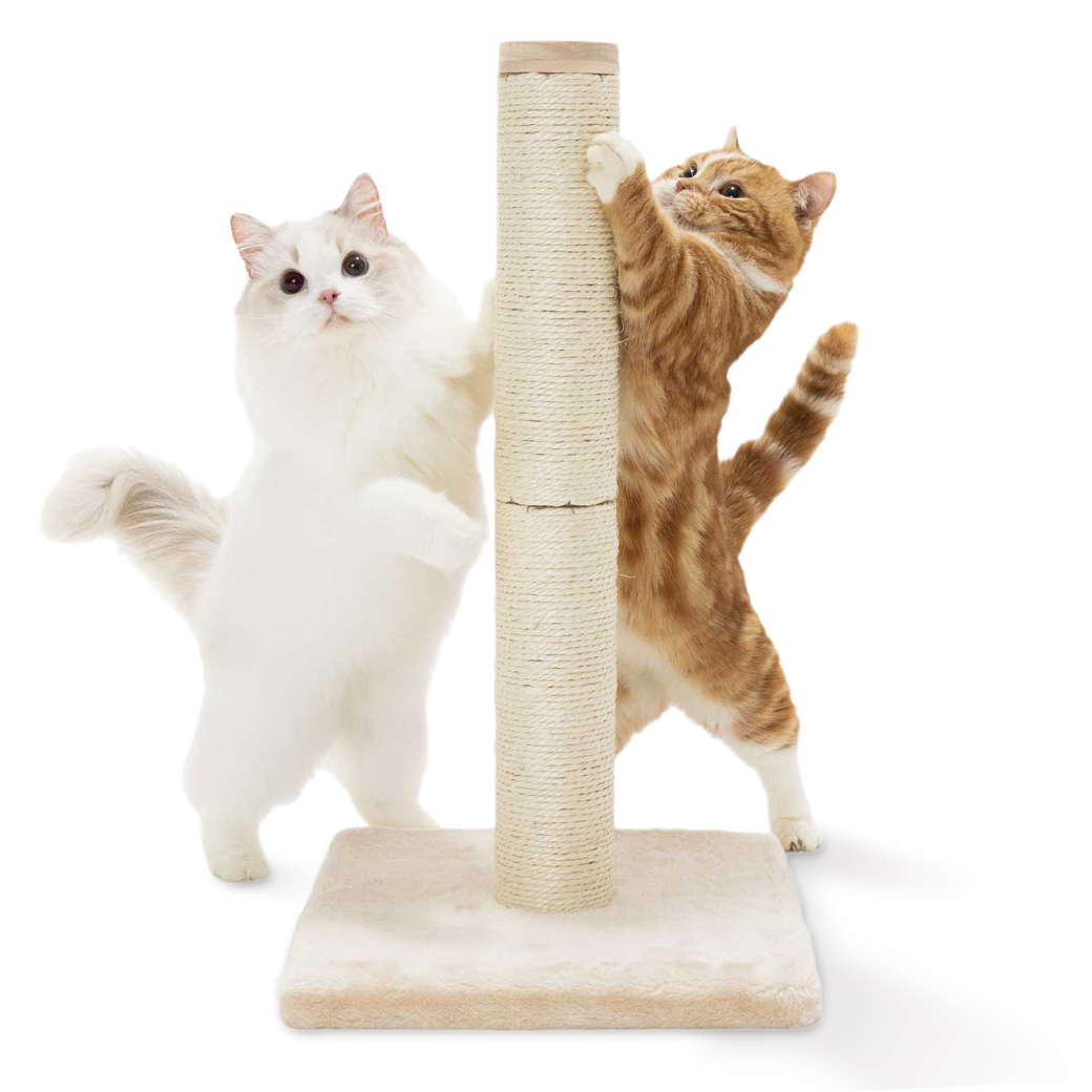 縦型:猫壱 バリバリ爪とぎポールの商品写真