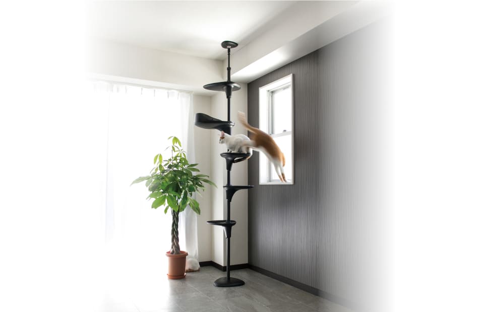 CatForest-2の商品写真