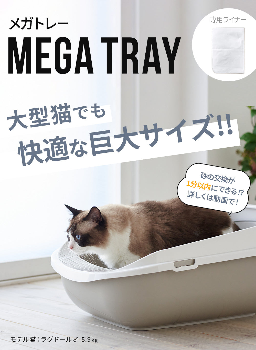 OFT STORE メガトレーの商品写真