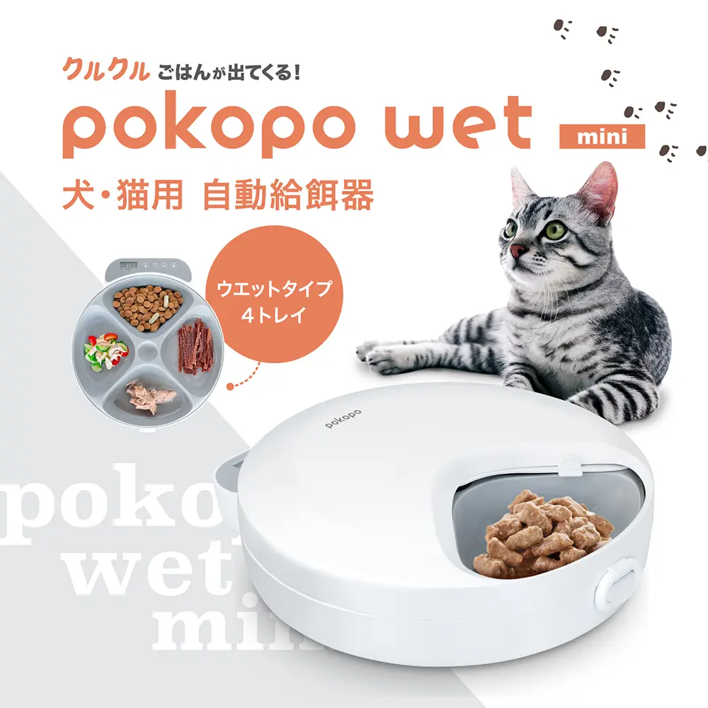 充電せず乾電池で使う｜pokopo wet mini PKPFLT1の商品写真