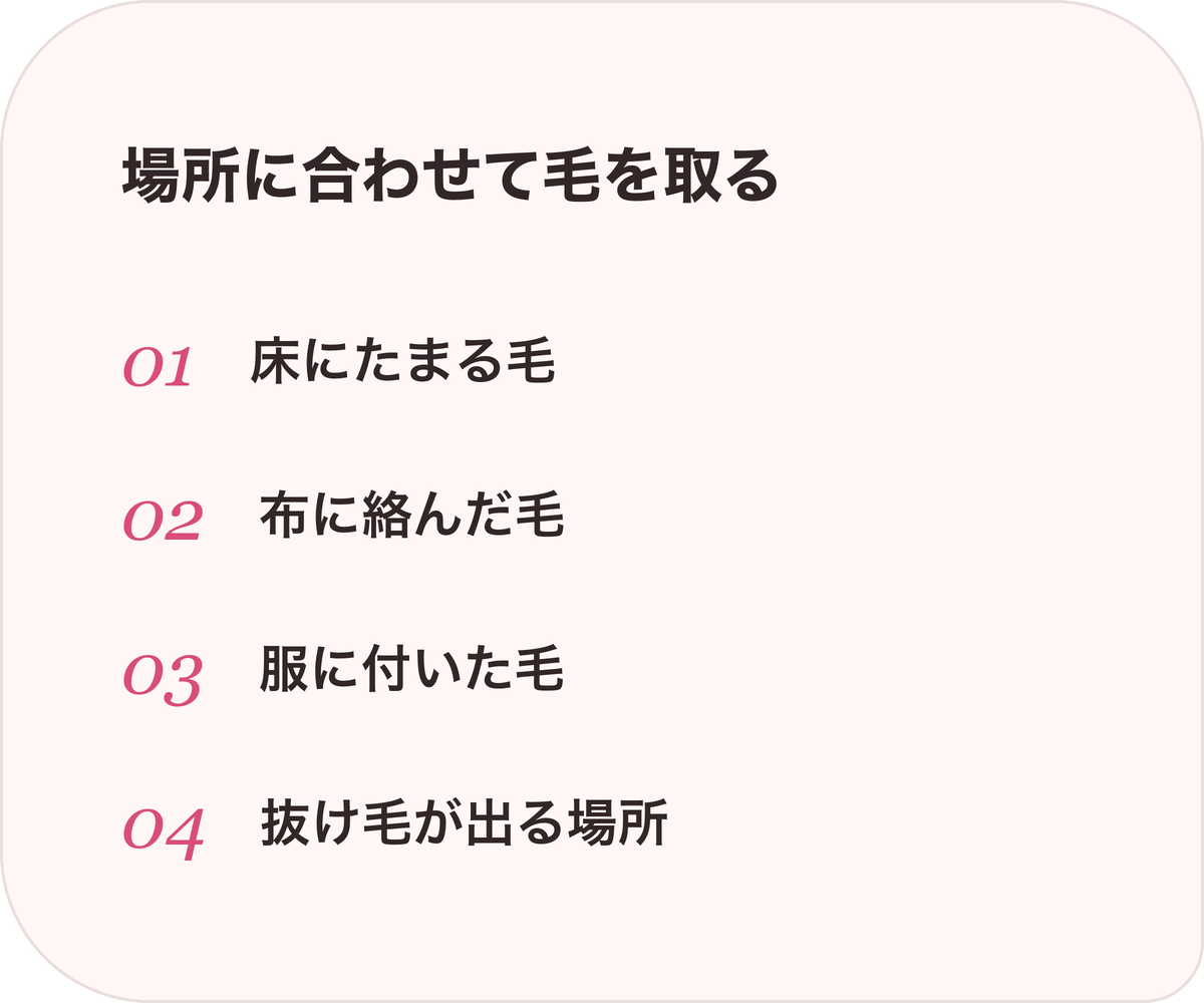 場所に合わせて毛を取る：床にたまる毛、布に絡んだ毛、服に付いた毛、抜け毛が出る場所